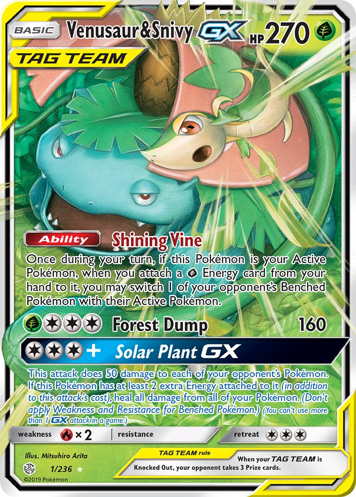 1/236 Venusaur & SnivyGX