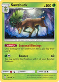 16/236  Sawsbuck