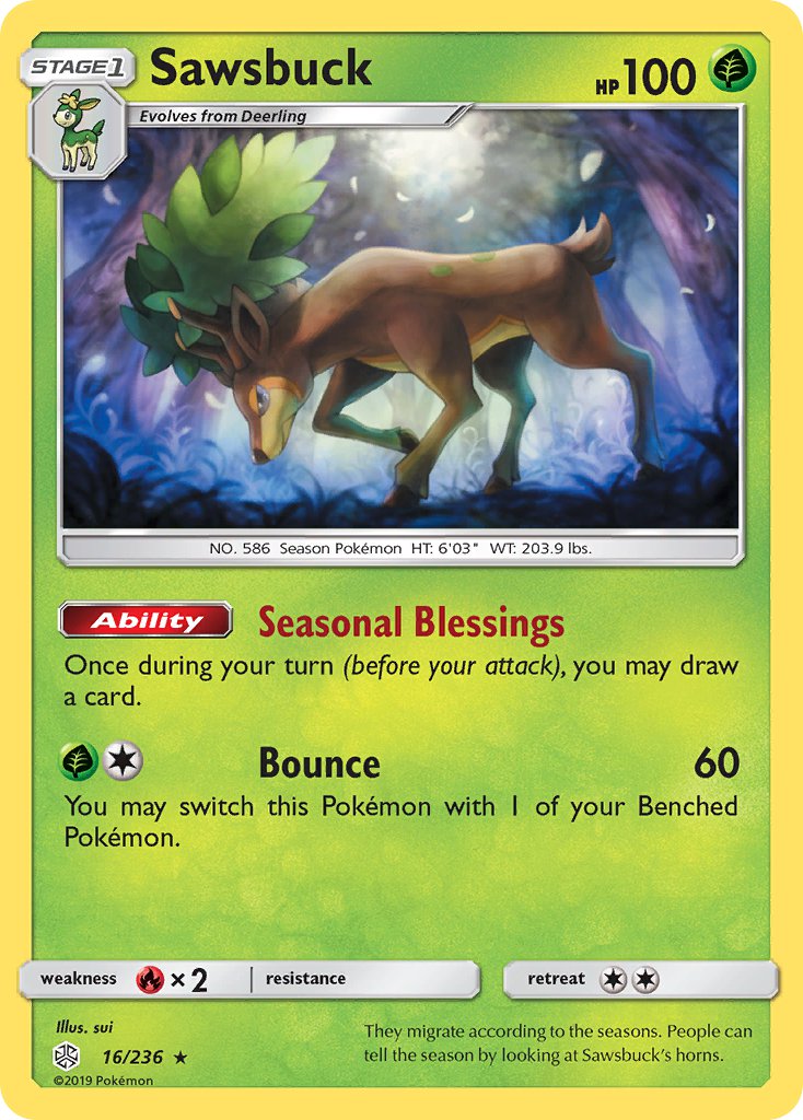 16/236  Sawsbuck