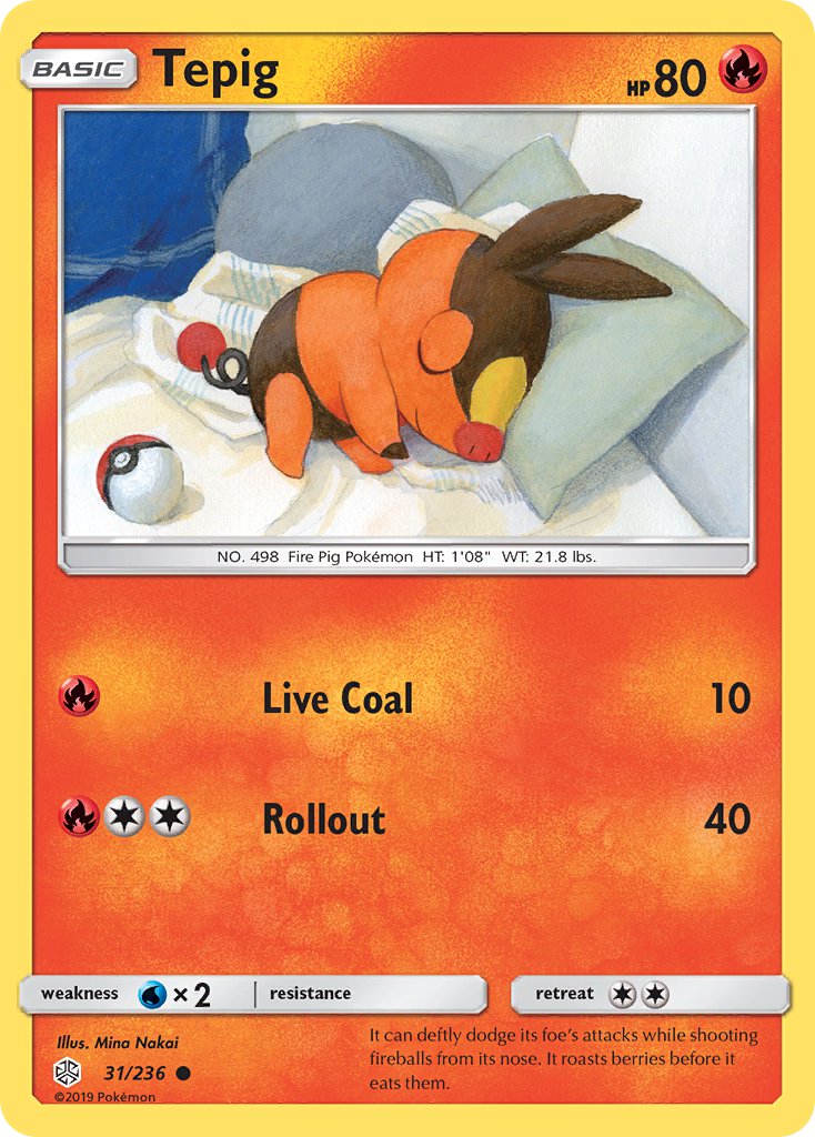 31/236  Tepig