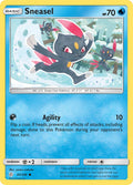 43/236  Sneasel