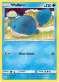 45/236  Wailmer