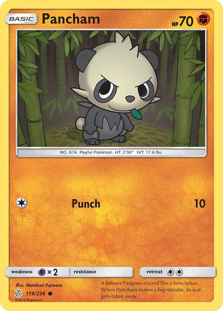 119/236 Pancham