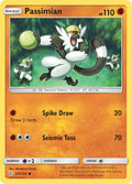 125/236 Passimian
