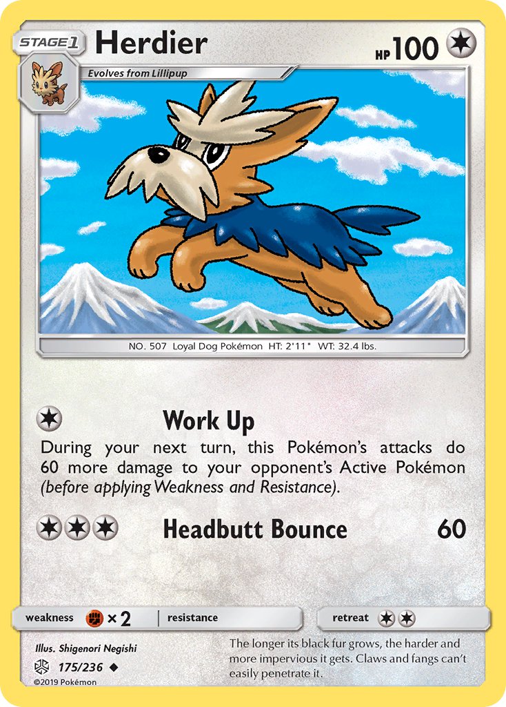 175/236 Herdier