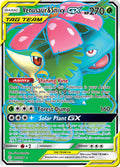 210/236 Venusaur & SnivyGX