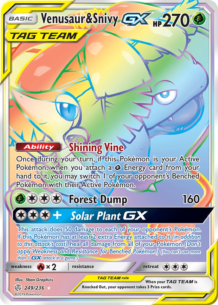 249/236 Venusaur & SnivyGX