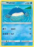 029/145 Wailmer