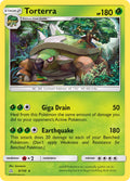 009/156 Torterra