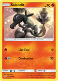 025/156 Salandit
