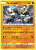 070/156 Passimian