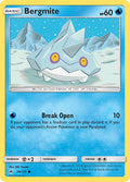 029/131 Bergmite
