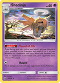 95/214 Shedinja