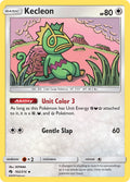 162/214 Kecleon