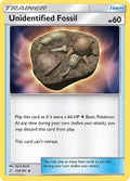 155/181 Unidentified Fossil