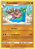 102/196 Gastrodon