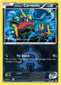 020/34 Team Aqua’s Carvanha