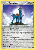 074/114 Cobalion