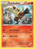 027/160 Combusken