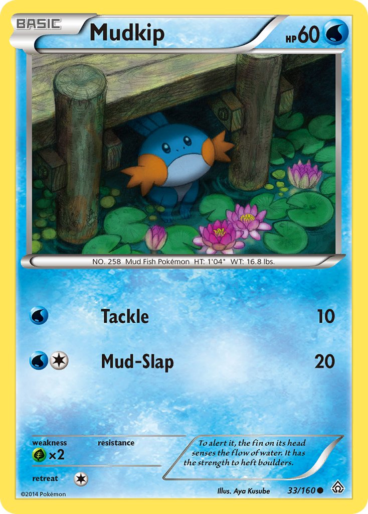 033/160 Mudkip