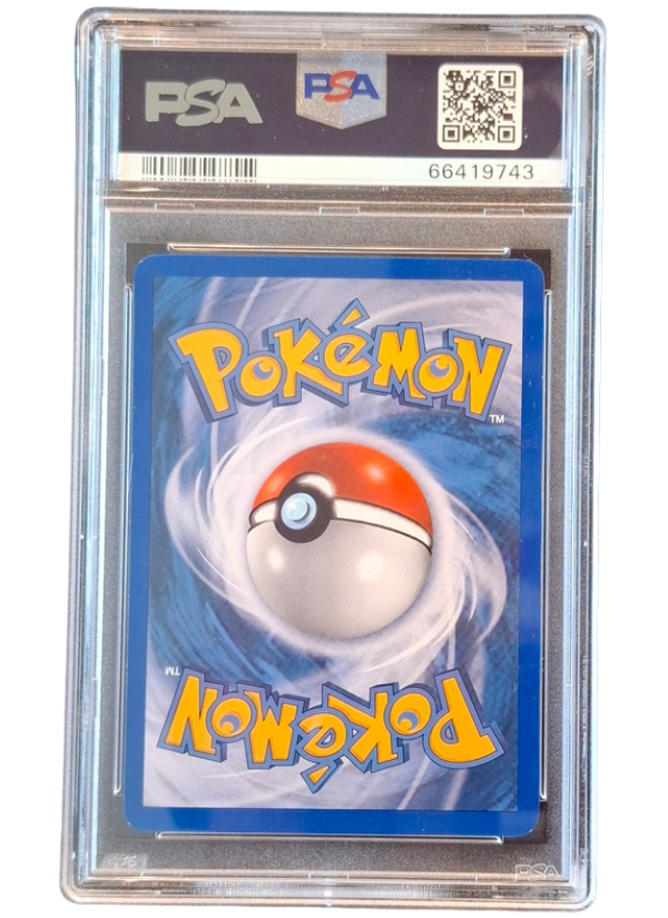 PSA 8 NM-MT Armaldo ex