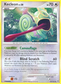 052/132 Kecleon