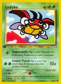 063/111 Ledyba