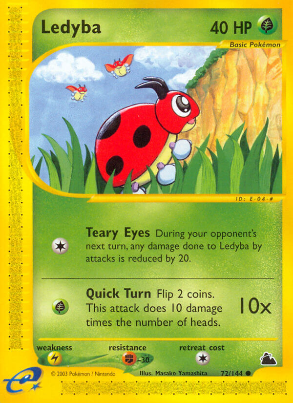072/144 Ledyba