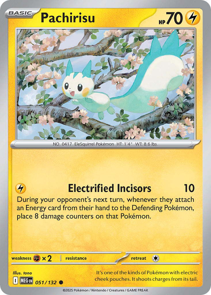 051/132 Pachirisu