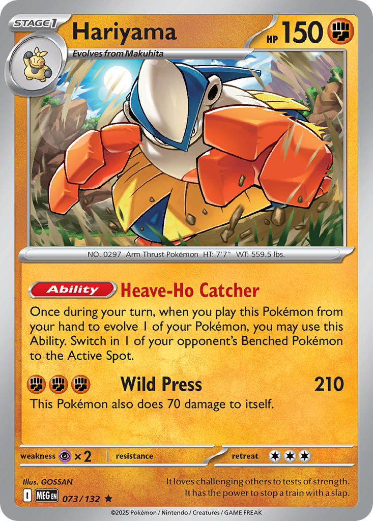 073/132 Hariyama