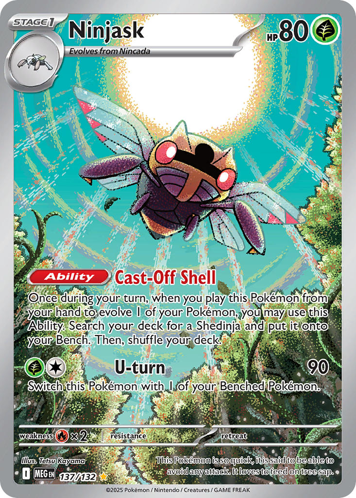137/132 Ninjask
