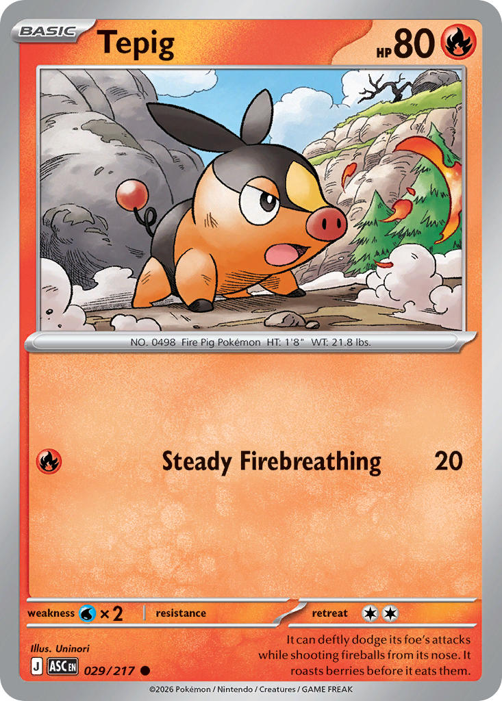 029/217 Tepig