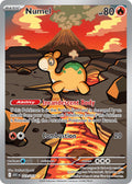 223/217 Numel