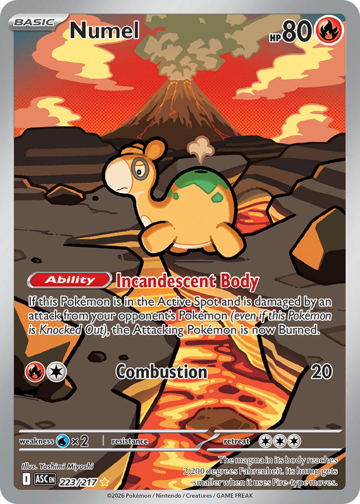 223/217 Numel