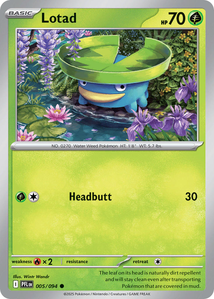 005/094 Lotad