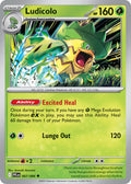 007/094 Ludicolo