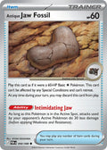 068/088 Antique Jaw Fossil
