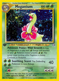 011/111 Meganium