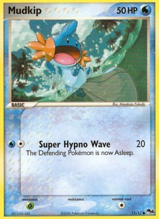 11/17 Mudkip