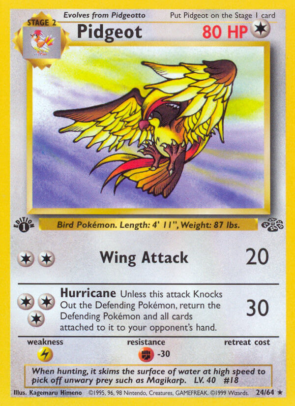 024/064 Pidgeot