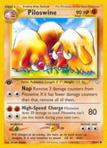 036/64 Piloswine
