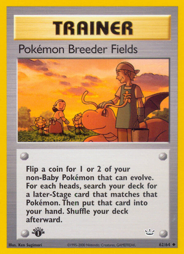 062/64 Pokemon Breeder Fields