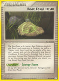 093/110 Root Fossil