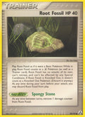 080/92 Root Fossil