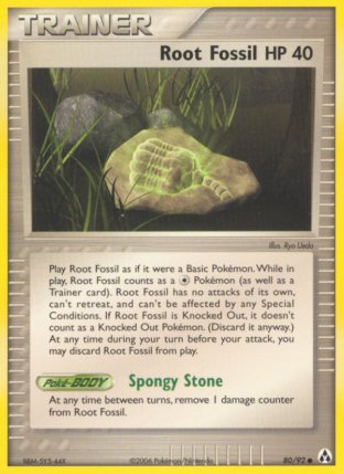 080/92 Root Fossil