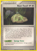 086/108 Root Fossil