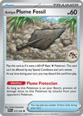 079/086 Antique Plume Fossil
