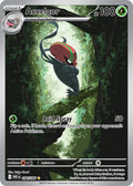 094/086 Accelgor