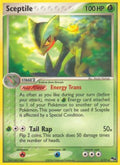 05/17 Sceptile