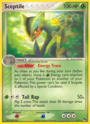 05/17 Sceptile